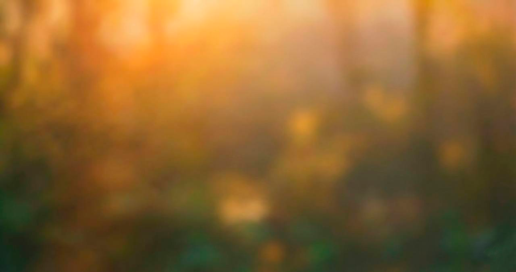 Fondo de energía biomagnética