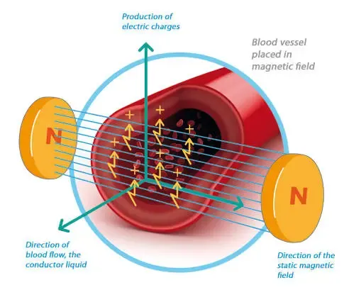Ciertas funciones del cuerpo dependen del pH